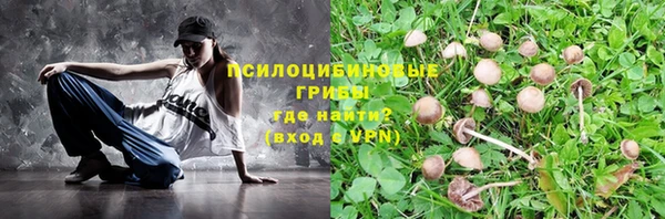 дурь Алексеевка