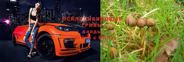 дурь Алексеевка